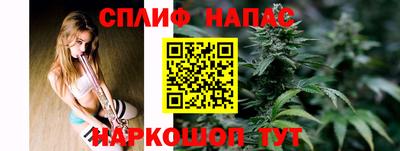 гашик Бузулук