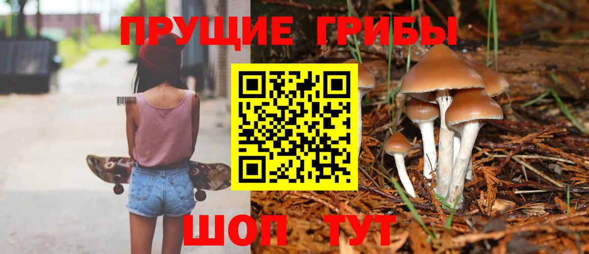 Галлюциногенные грибы мухоморы  Вход с VPN  купить наркоту  Новоалександровск 