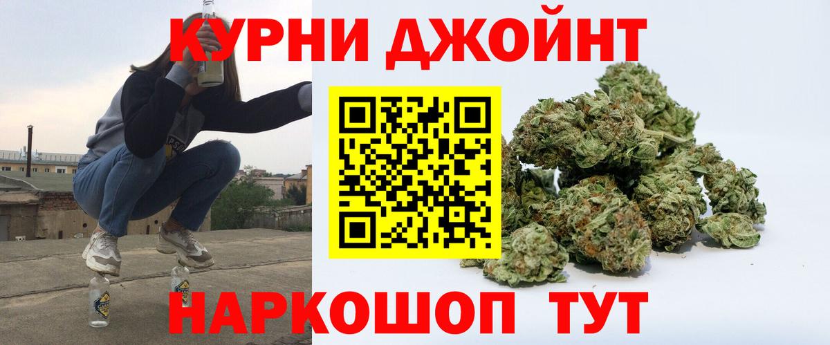 Каннабис план Новоалександровск